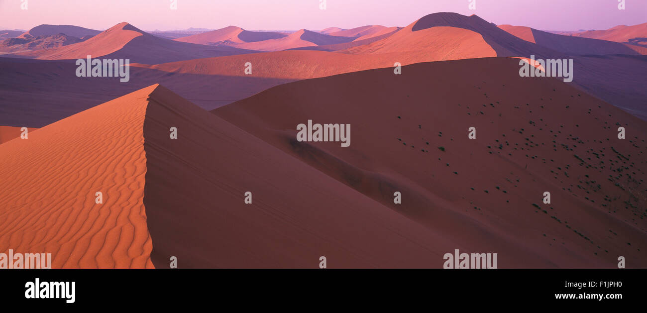 Übersicht über Sanddünen der Wüste Namib, Naukluft Park Sossusvlei, Namibia, Afrika Stockfoto