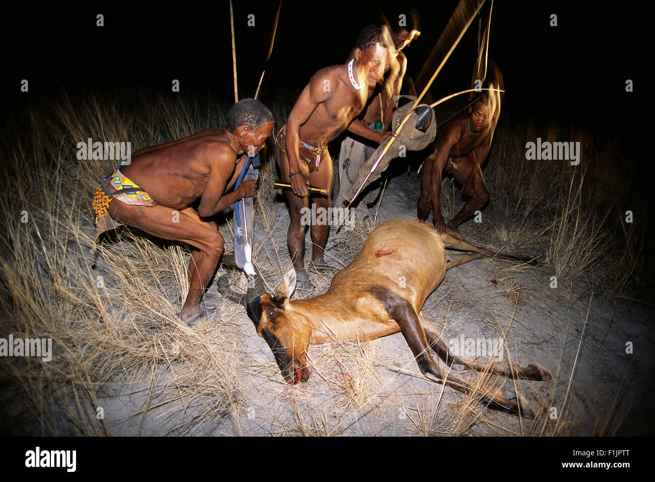 Bushman Jäger mit töten in der Nacht, Namibia, Afrika Stockfoto