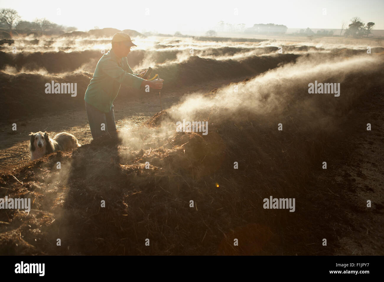 Landwirt, North West Province, Segen, Südafrika Stockfoto