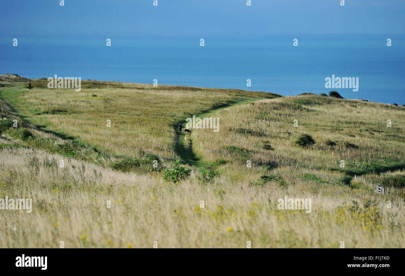 Brighton, UK. 3. September 2015. Eine Mitteilung Warnung wurde durch das Sheepcote Tal Parkplatz von Brighton gelegt, die außerirdische Lebensformen in Feldern in der Nähe der Rennbahn am vergangenen Wochenende gesichtet wurden Stockfoto