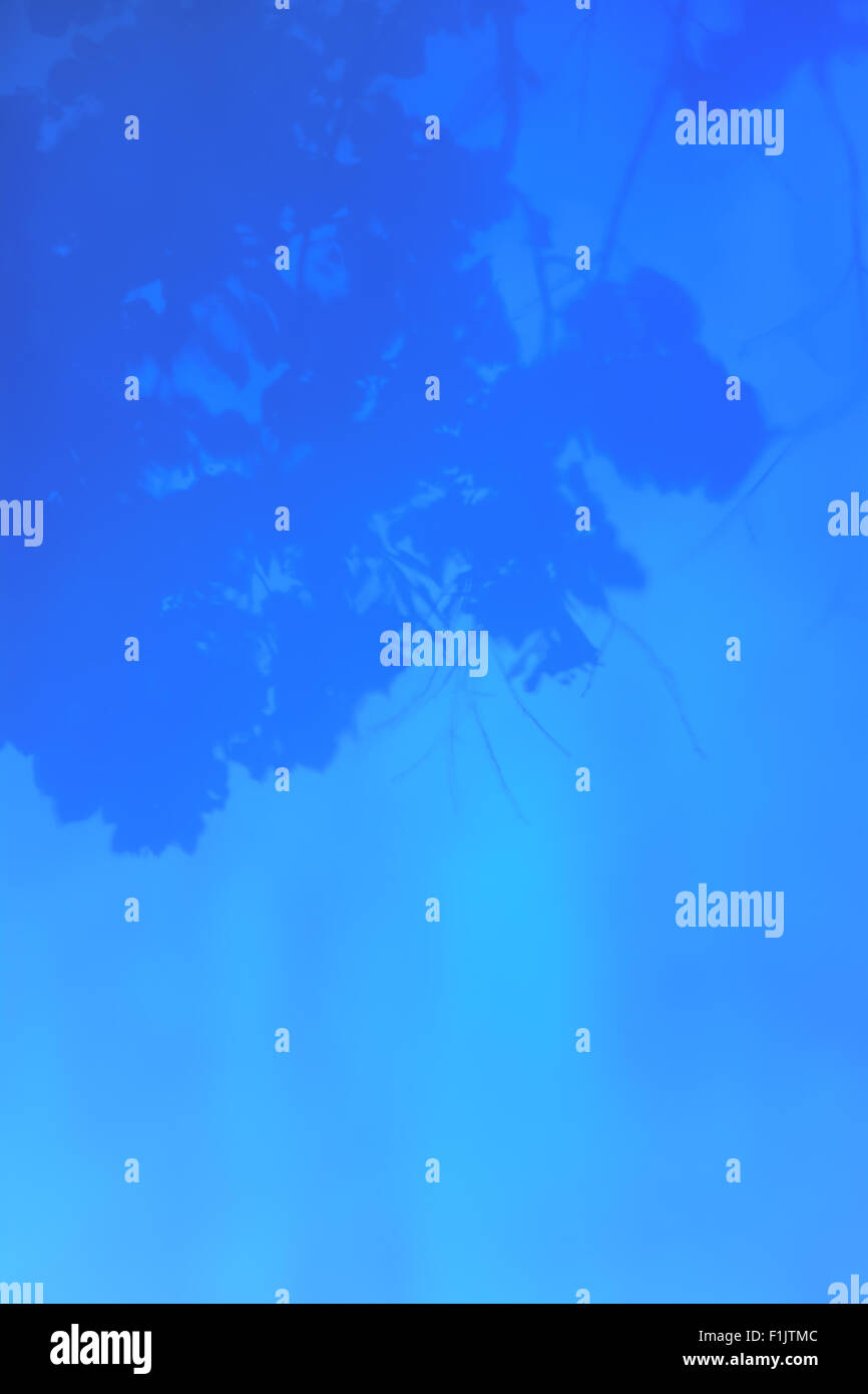 Baum durch blauen Glasfenster im Grab auf dem Friedhof in Bordeaux, Frankreich Stockfoto