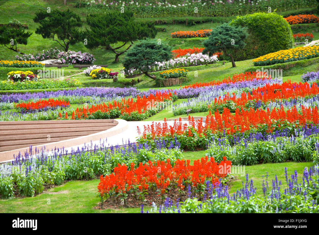 Park mit vielen Arten von tropischen Blumen Stockfoto