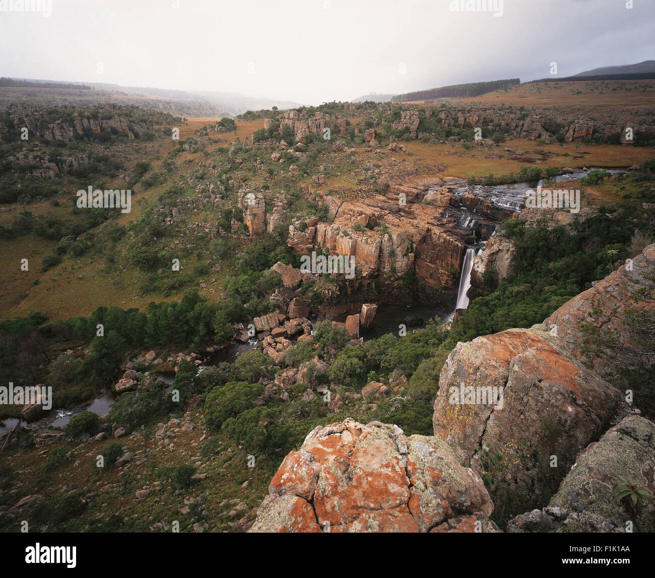 Draufsicht der felsigen Landschaft, Fluss und Wasserfall. Mpumalanga, Südafrika, Afrika. Stockfoto