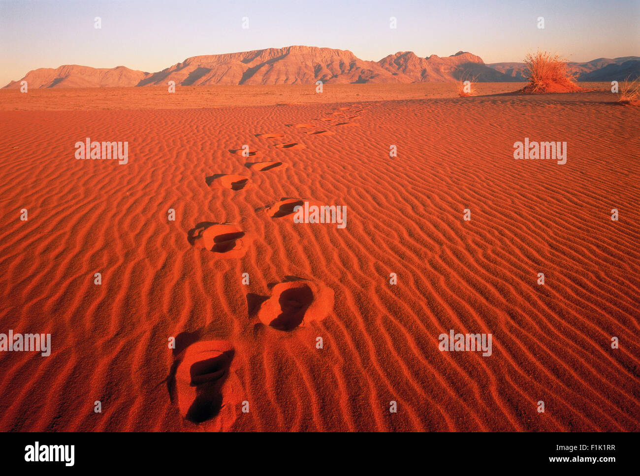 Fußspuren im Sand Pella, Northern Cape, South Africa Stockfoto