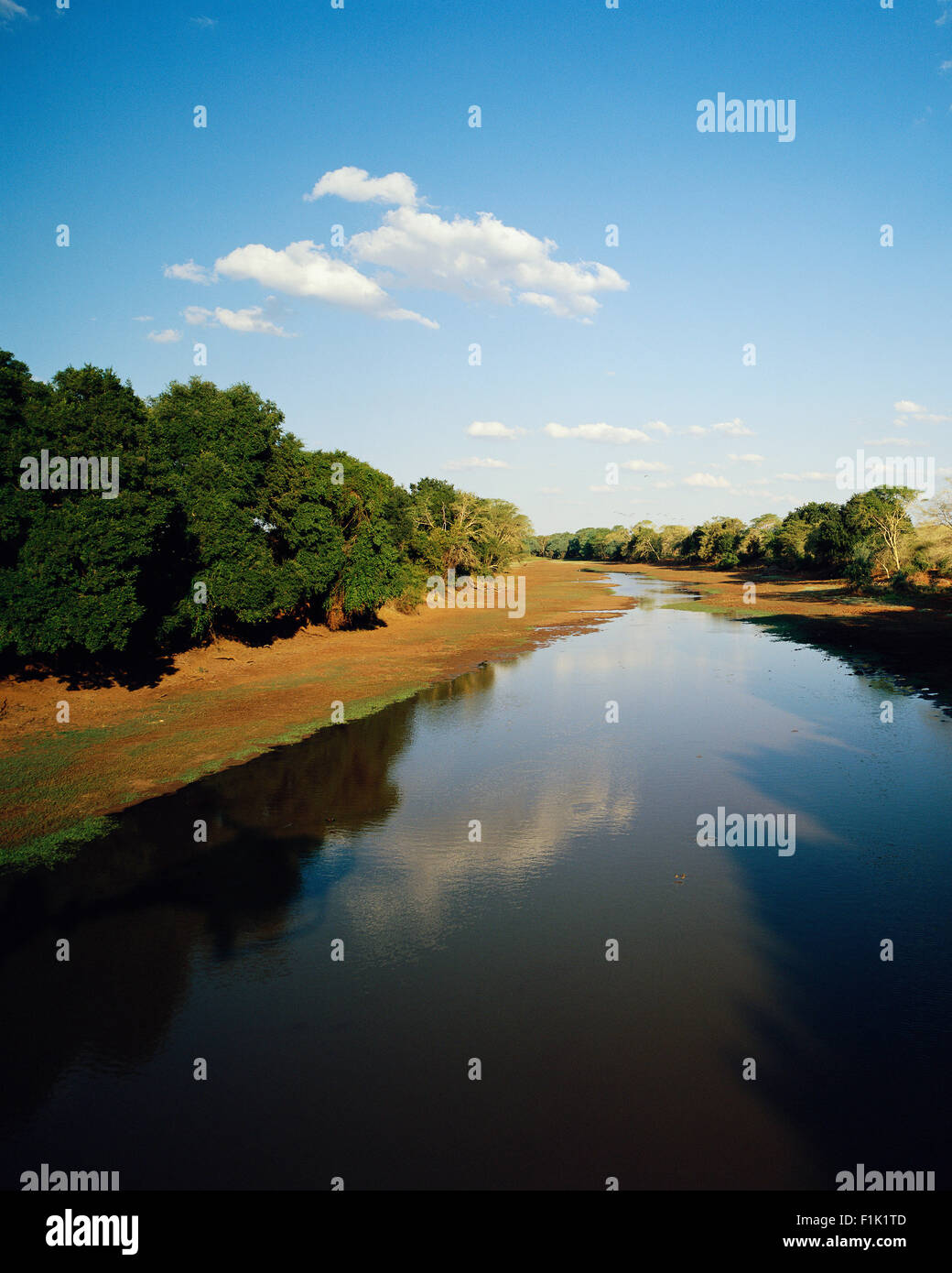 Fluss-Krüger-Nationalpark Northern Province, Südafrika Stockfoto