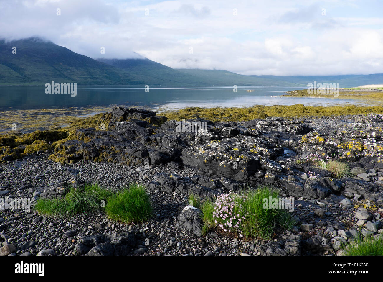 Loch Na Keal Isle of Mull, Schottland, UK LA007544 Stockfoto