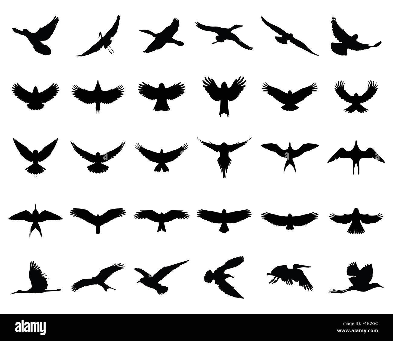 Schwarze Silhouetten der Vögel im Flug, Vektor Stockfotografie - Alamy