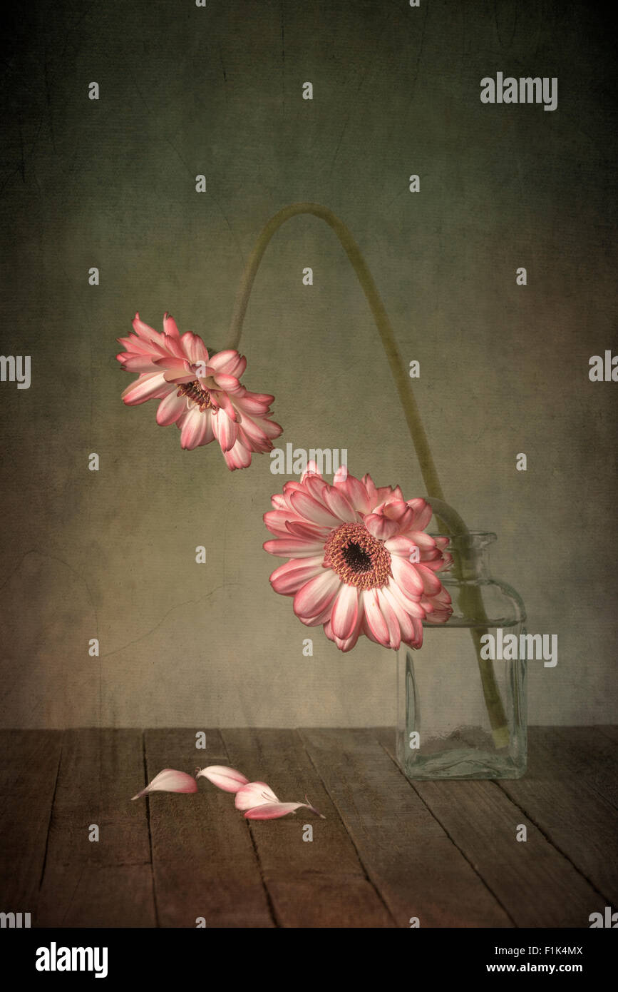 Blumen in Glasvase mit Textur-overlay Stockfoto