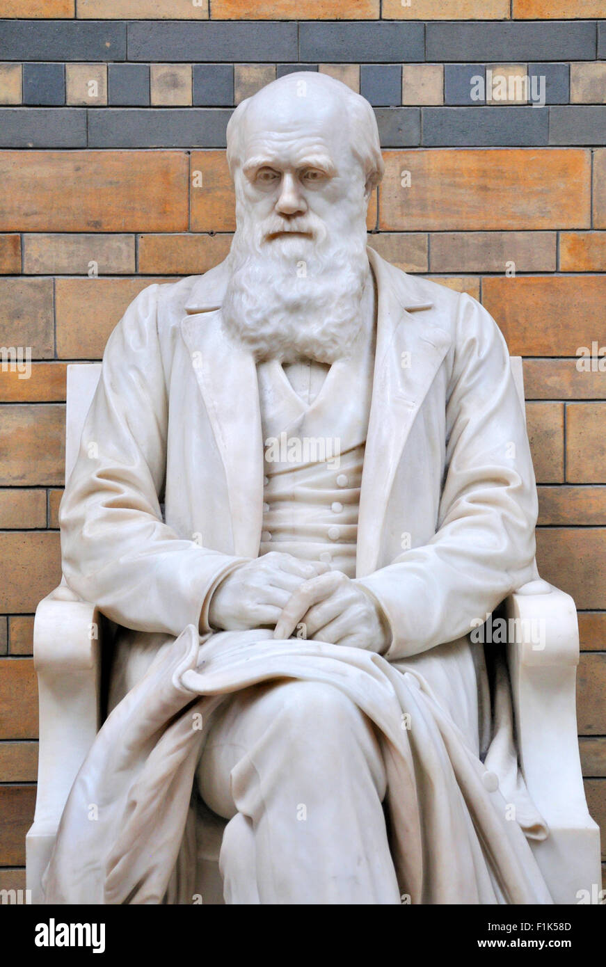 London, England, Vereinigtes Königreich. Natural History Museum, Kensington. Innenraum. Charles Darwin-Statue (Sir Joseph Boehm) Stockfoto