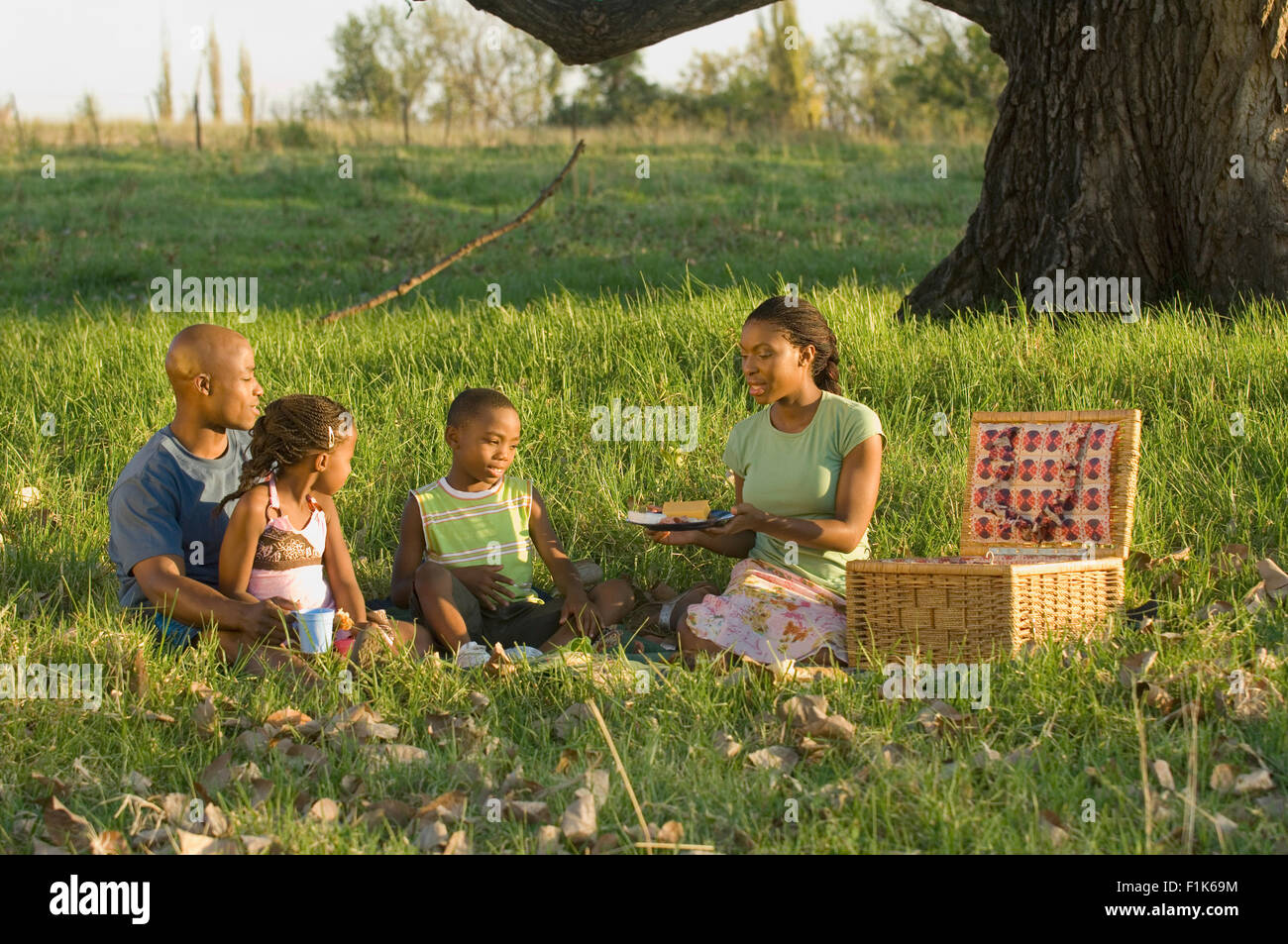 Familie mit einem Picknick Stockfoto
