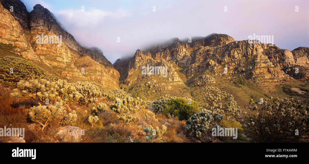 Wolken über Berggipfel, Western Cape, Südafrika Stockfoto