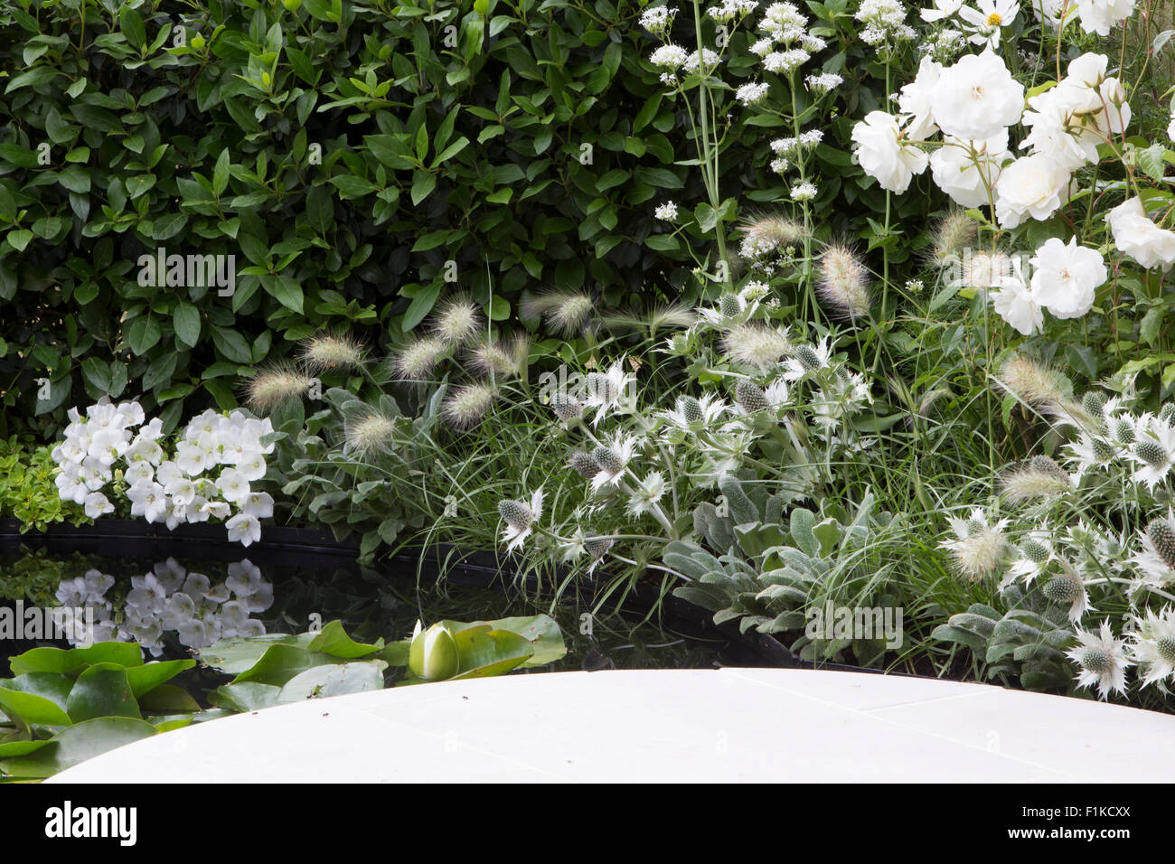 Twitchers Stadtgarten, Designer CouCou Design, Sarah Keyser, Wohnlandschaften, RHS Hampton Court Flower Show 2015 Stockfoto
