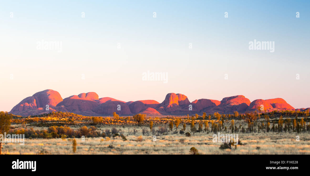 Die Olgas bei Sonnenaufgang an einem klaren Wintermorgen im Northern Territory, Australien Stockfoto