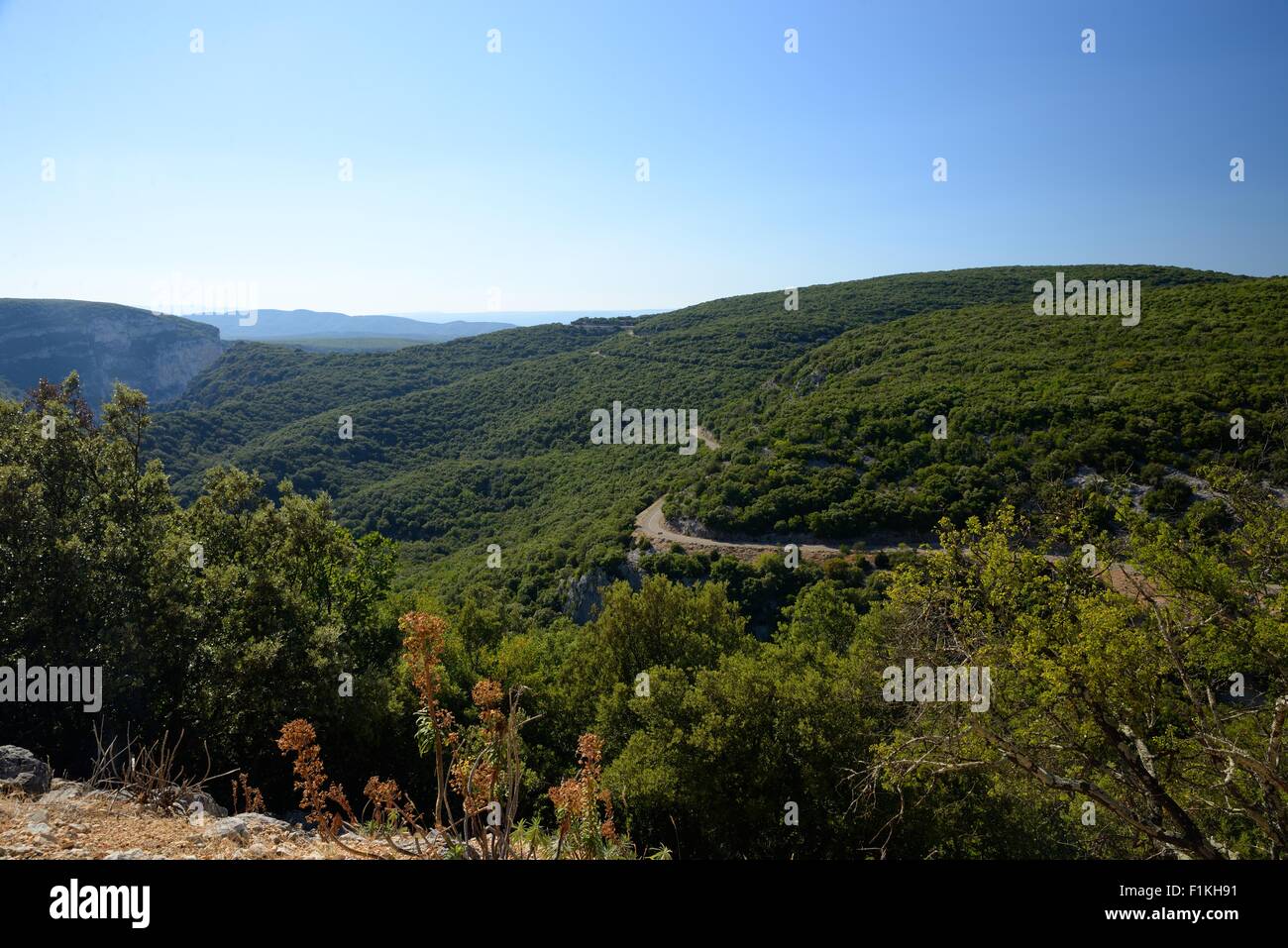 Les gorges de l'Ardèche Stockfoto