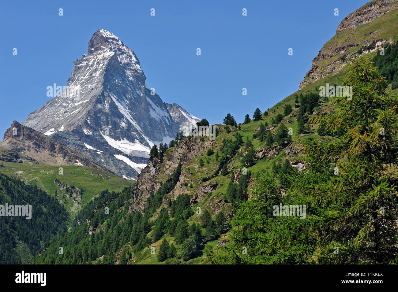 Blick auf das Matterhorn Berg mit Almwiesen und Pinienwälder in den Schweizer Alpen, Wallis / Wallis, Schweiz Stockfoto