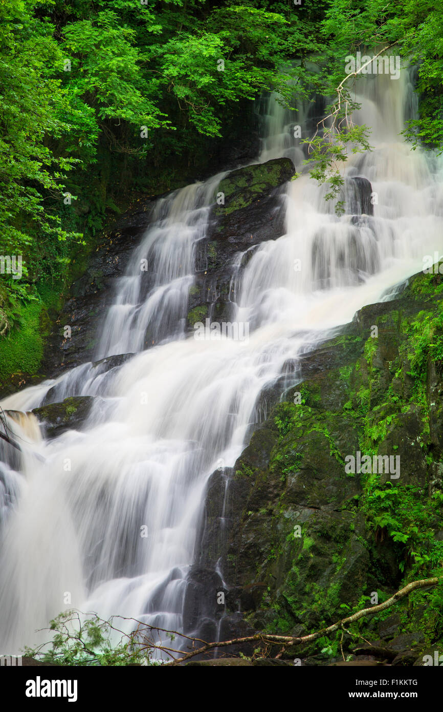 Torc Wasserfall, Killarney National Park, County Kerry, Irland Stockfoto