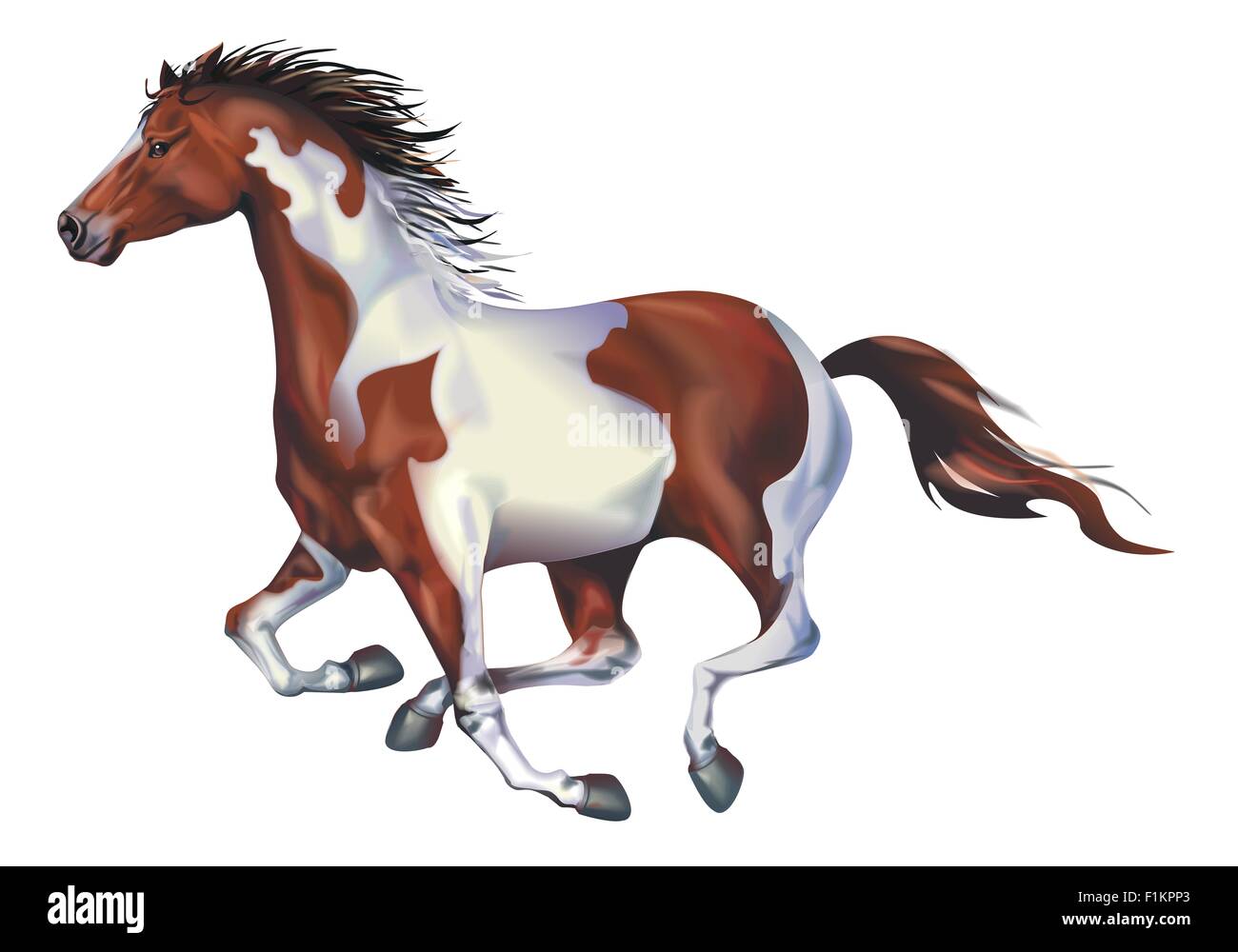 Galoppierende Pferdekunst entdeckt Illustration auf weißen Hintergrund isoliert. Pferd laufen. Stockfoto