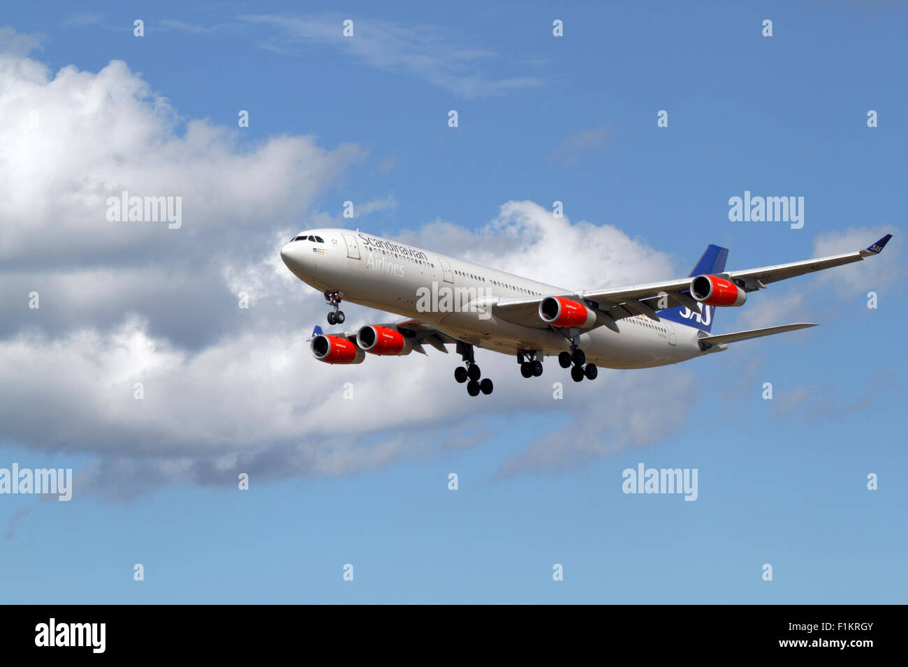 SAS Scandinavian Airlines A340-300, LN-RKF, im Endanflug nach Flughafen Kopenhagen, Kopenhagen, Dänemark aus Chicago, USA. Stockfoto