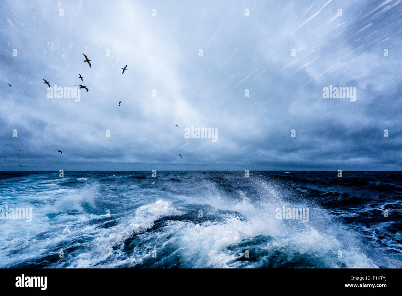 Windigen Bedingungen in der Drake-Passage Stockfoto
