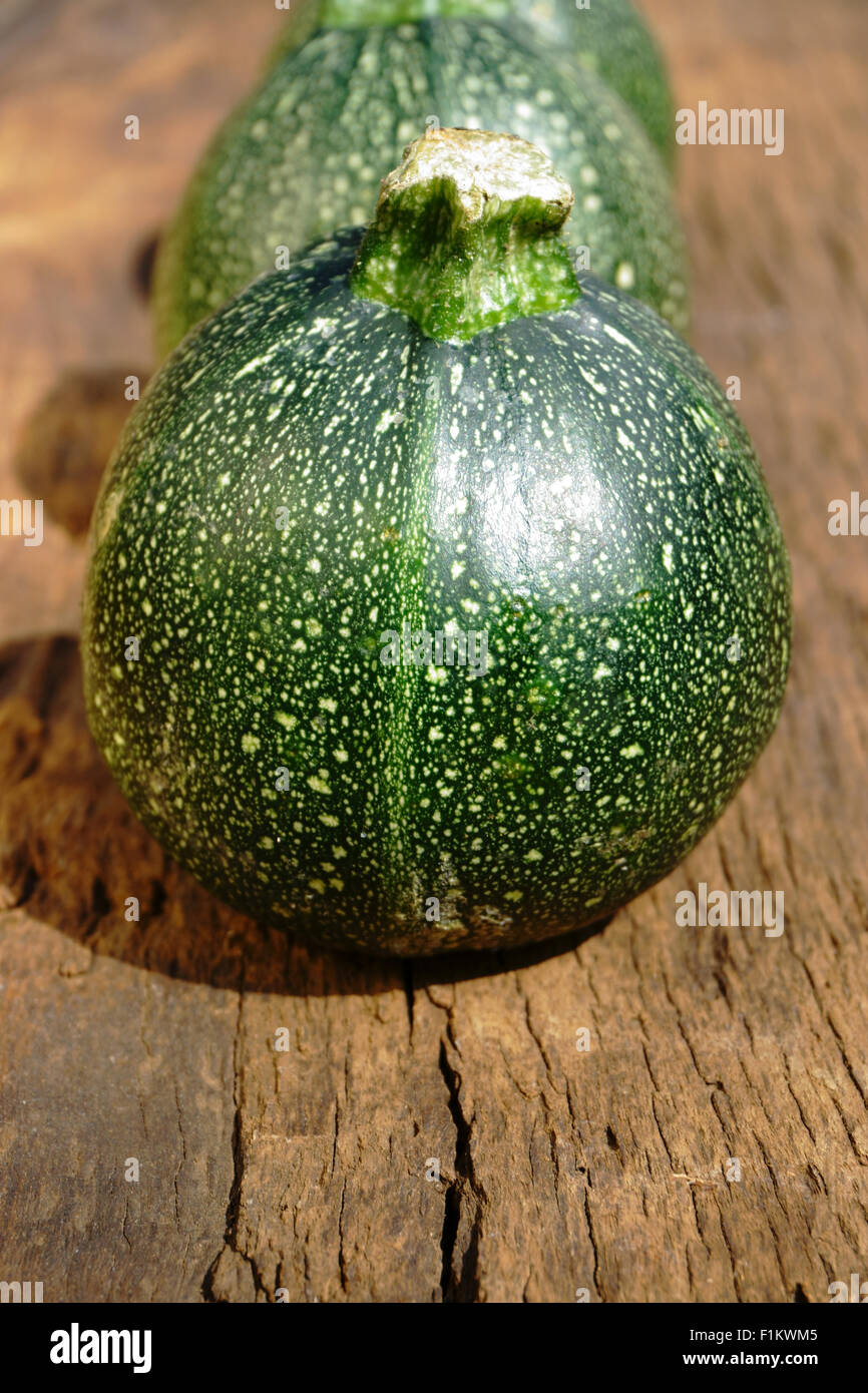 Drei Runde und Reife Zucchini hinter dem anderen auf rustikalem Holzbrett Stockfoto