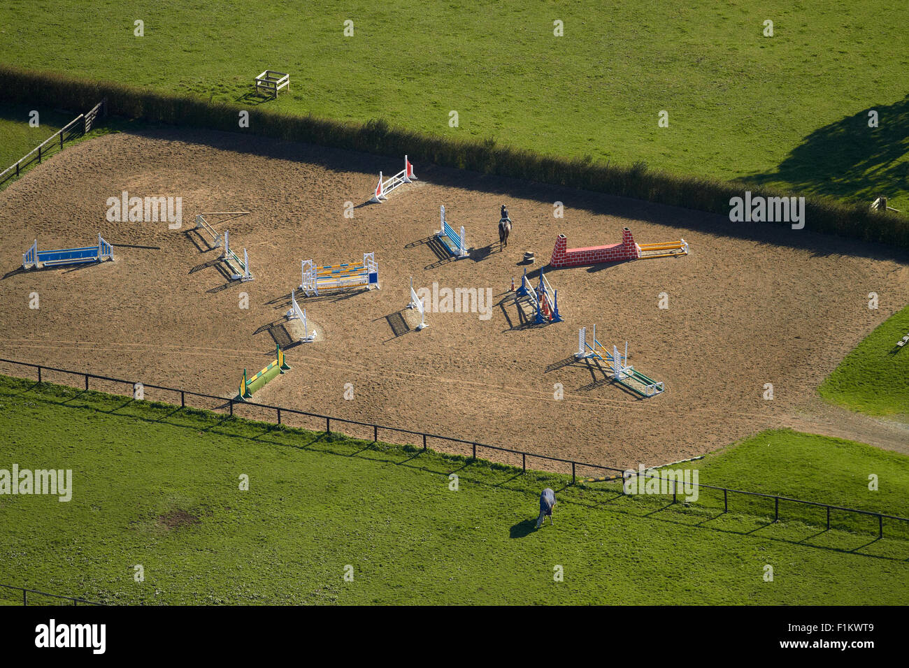 Reiter und Pferd Springreiten Kurs, Ardmore, South Auckland, Nordinsel, Neuseeland - Antenne Stockfoto