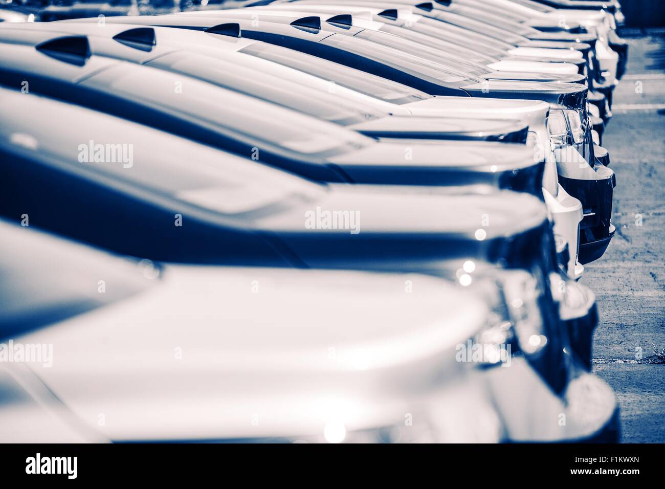 Neue Autos Fabrik parken. Brandneue Autos warten auf neue Besitzer. Blue Color-Grading. Stockfoto