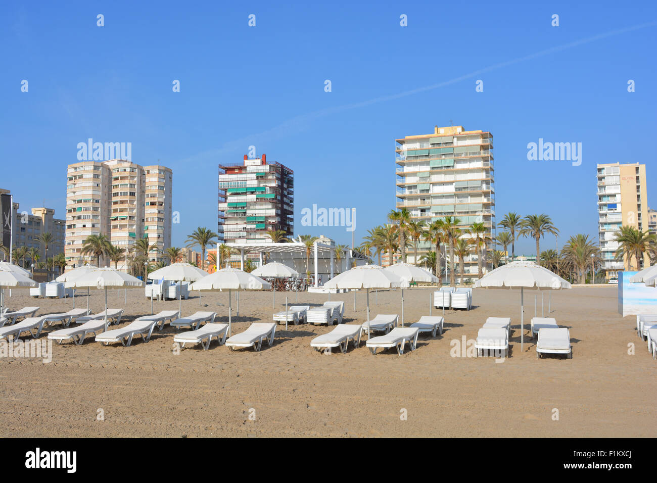 Sonnenliegen am Strand mit Apartments an der Playa San Juan, San Juan, Alicante, Spanien Stockfoto