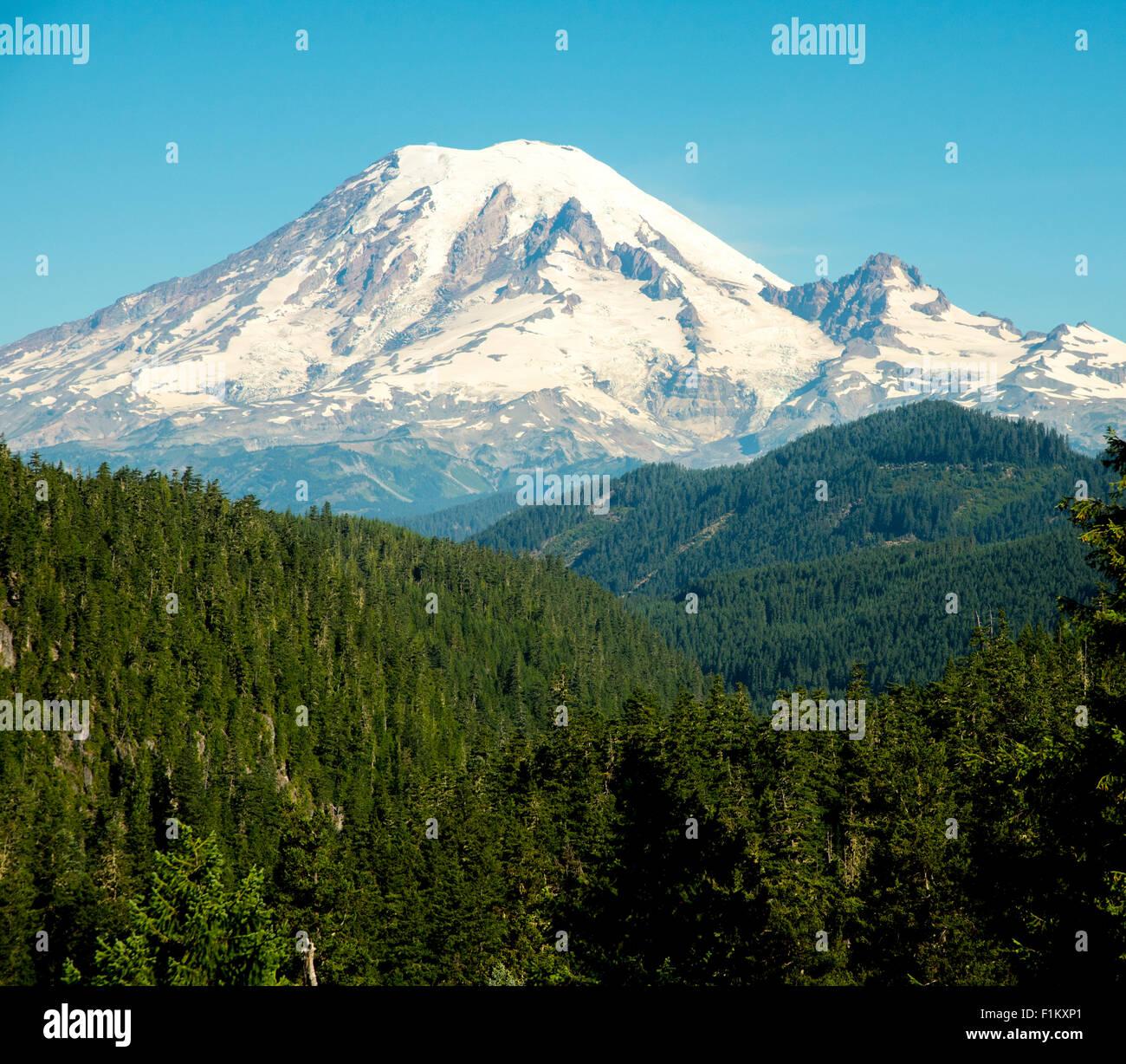 Landschaftlich reizvolle Nahaufnahme der Mount Rainier, umgeben von einem Wald von Bäumen. US-Bundesstaat Washington. USA Stockfoto