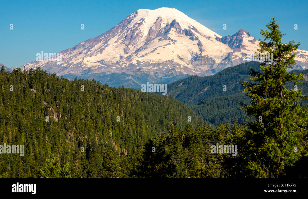 Landschaftlich reizvolle Nahaufnahme der Mount Rainier, umgeben von einem Wald von Bäumen. US-Bundesstaat Washington. USA Stockfoto