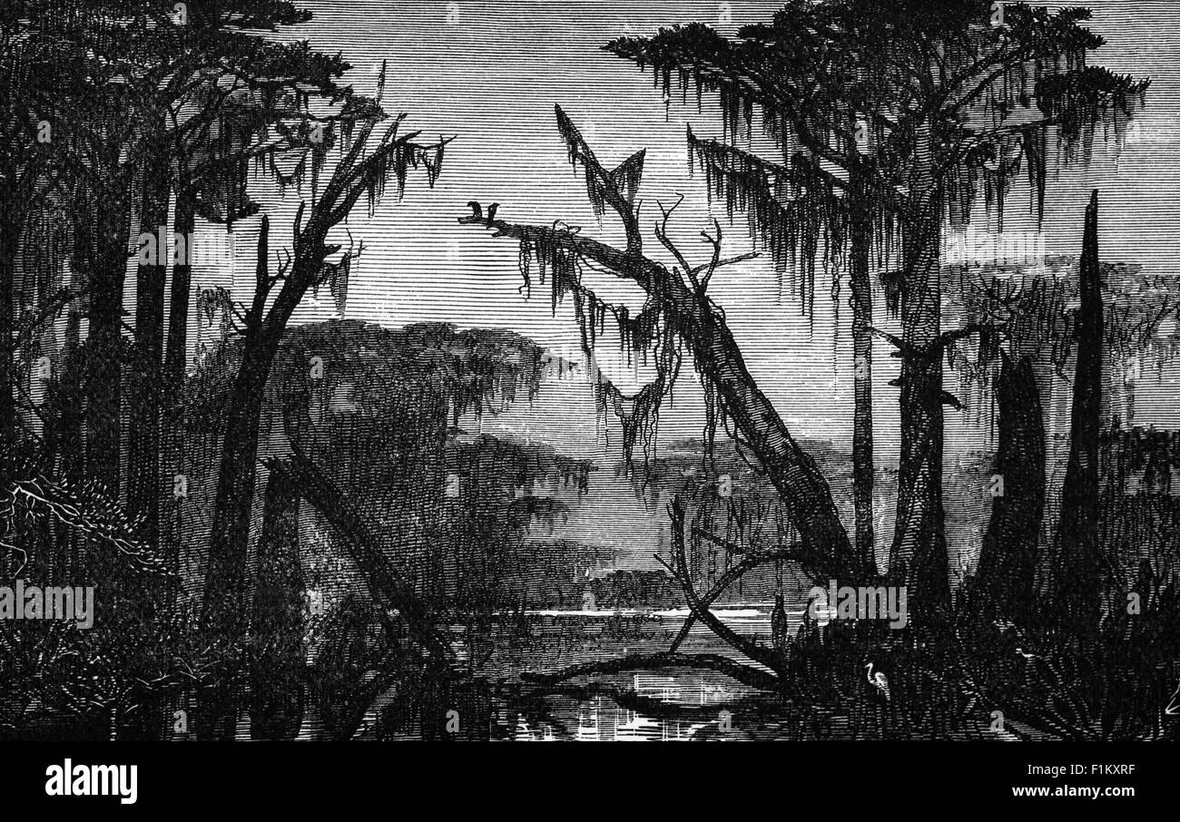 Eine Illustration des 19. Jahrhunderts der Feuchtgebiete von Louisiana in den südlichen Vereinigten Staaten von Amerika, einer wassergesättigten Küsten- und Sumpfregion, die das Entwässerungstor zum Golf von Mexiko für die untere Mississippi-Wasserscheide ist. Das Sumpfland ist ein äußerst wichtiges Ökosystem, in dem Cajun und Indianer der Ureinwohner seit Jahrhunderten leben. Stockfoto