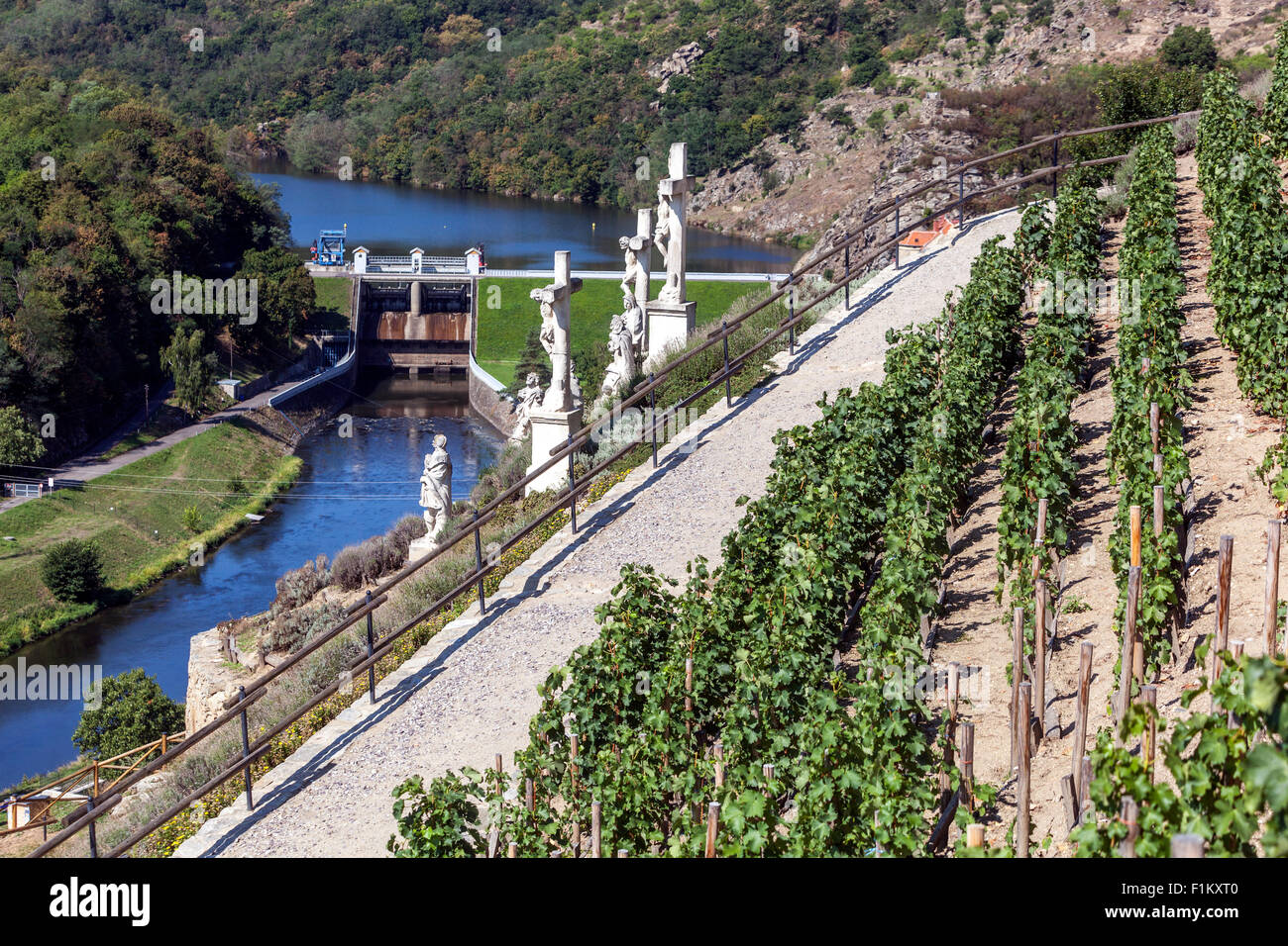 Tschechische Weinberge auf der Südseite des Flusses Dyje, Znojmo, Südmähren Landschaft Tschechische Republik Landschaft Europa Weinbergstraße Stockfoto