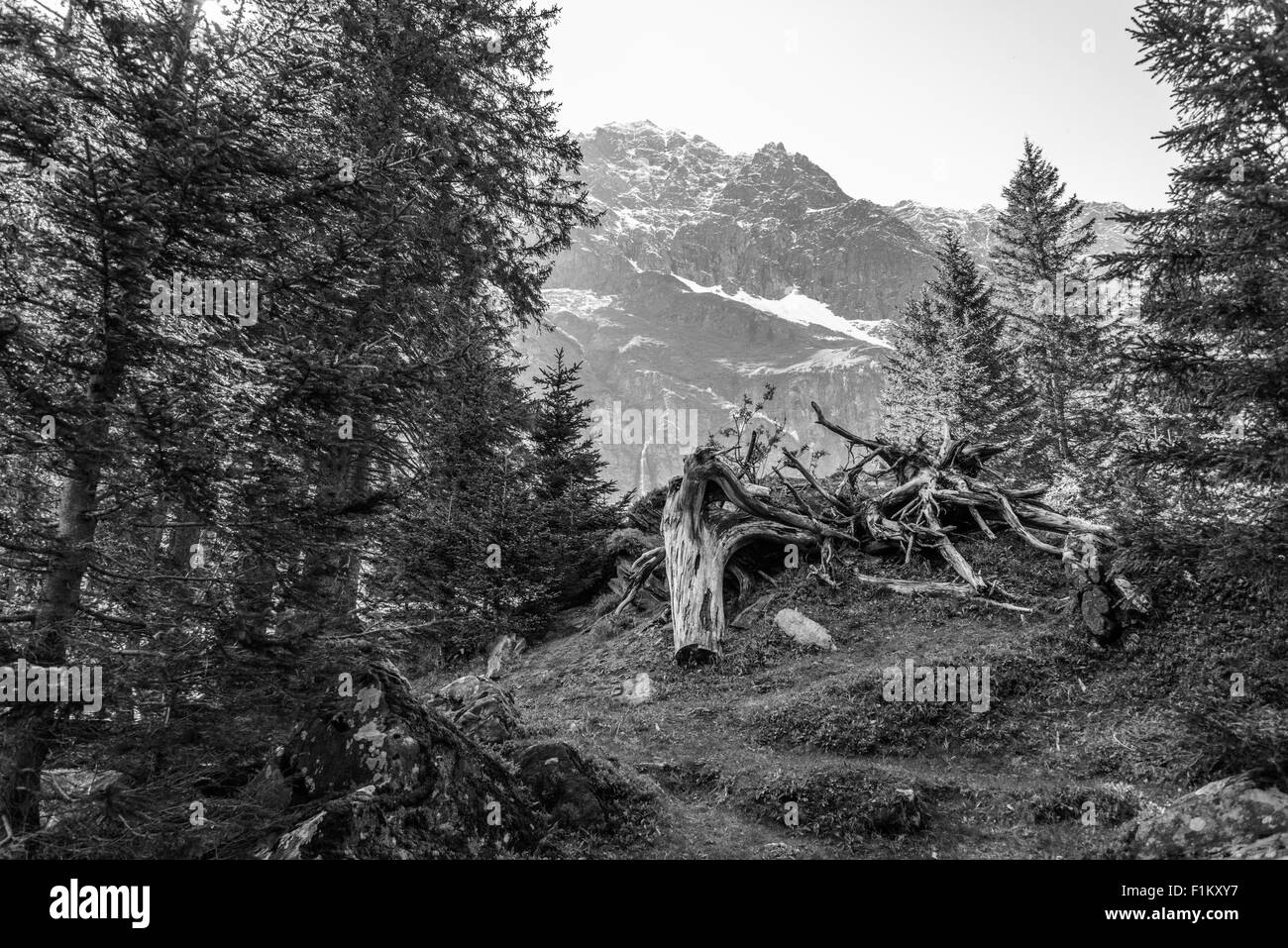 Ansichten rund um den Hintersee, in der Nähe von Zell am See, Österreich Stockfoto