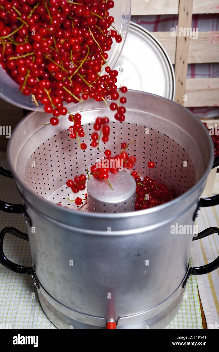 Gießen Sie Reife rote Johannisbeeren in den Dampf-Entsafter, Johannisbeere Sirup gewaschen Stockfoto