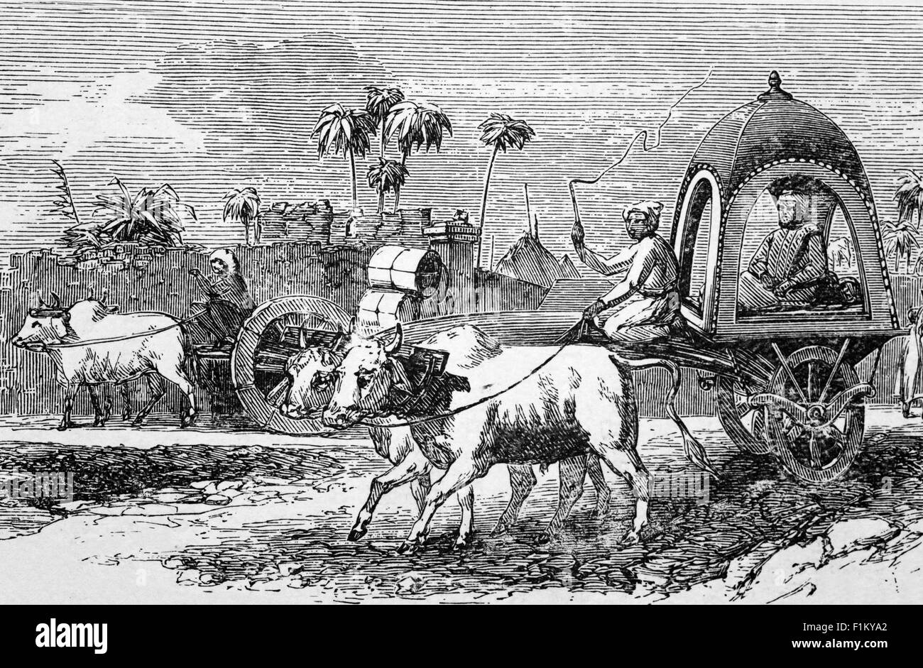 Eine Ansicht des 19. Jahrhunderts von einem Wagen gezeichnet von Ochsen, Bombay (jetzt Mumbai), Indien Stockfoto