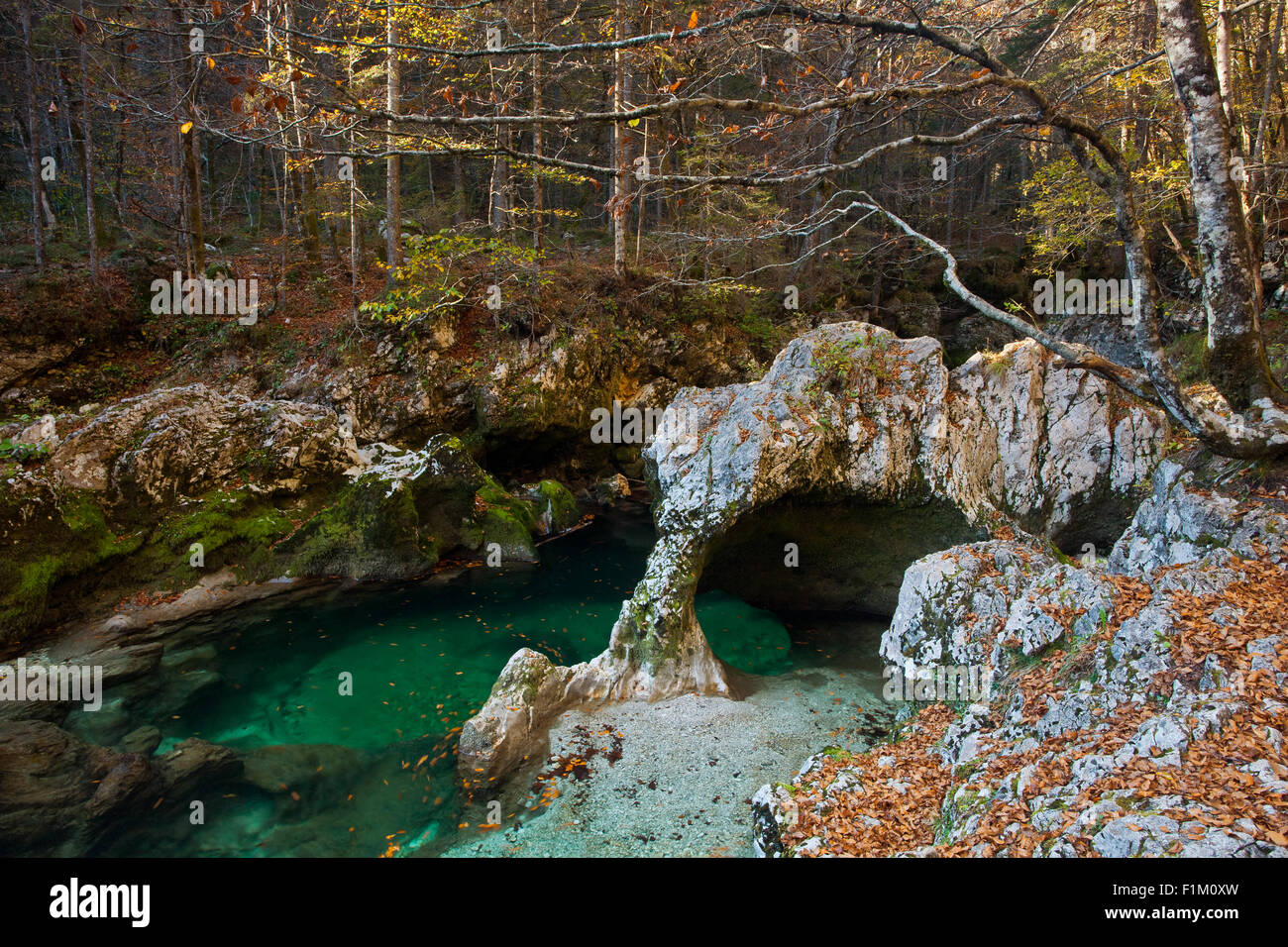 Fluss Mostnica Elephant Rock, Nationalpark Triglav, Gorenjska, Slowenien Stockfoto