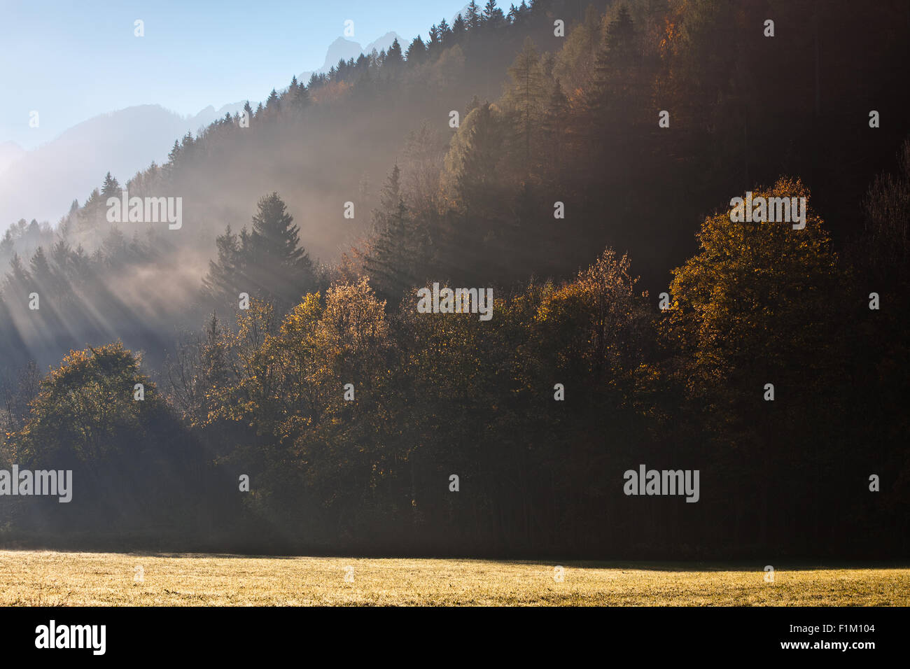 Kranjska Gora-Tal im Herbstnebel, Gorenjska, Slowenien Stockfoto