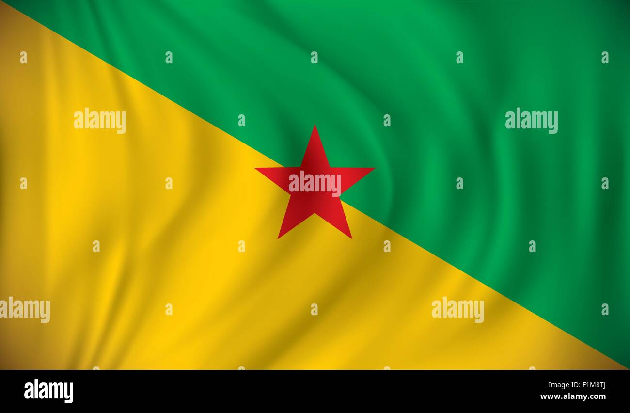 Flagge Von Franz sisch Guayana Vektor illustration Stock Vektorgrafik 