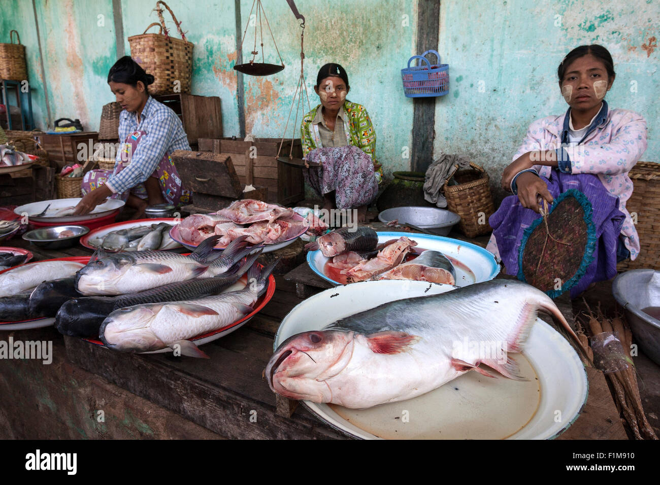 Verkauf von Fischen, Markt in Nyaung U, Bagan, Mandalay, Myanmar Division Frau Stockfoto