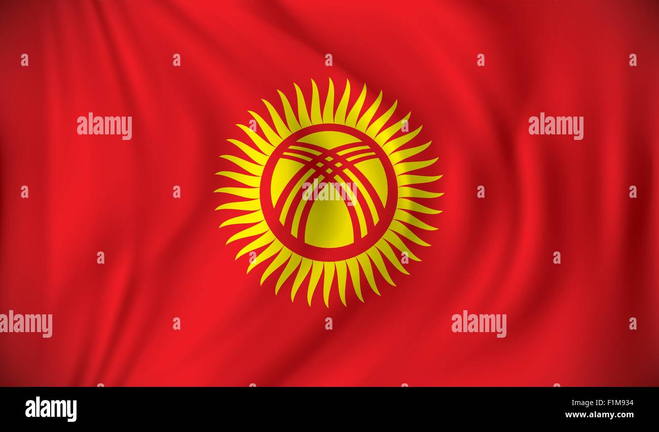 Flagge von Kirgistan - Vektor-illustration Stock Vektor