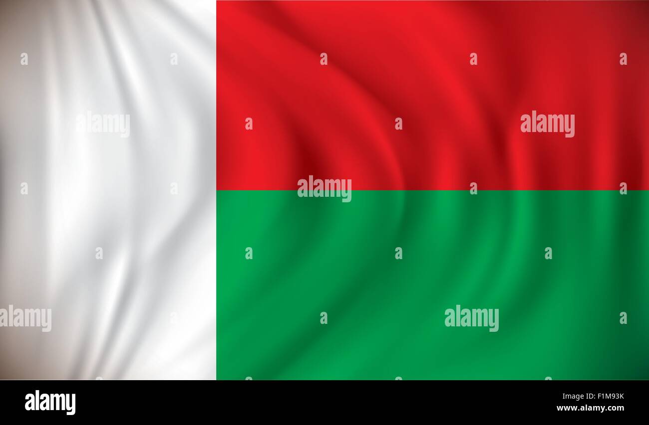 Flagge von Madagaskar - Vektor-illustration Stock Vektor