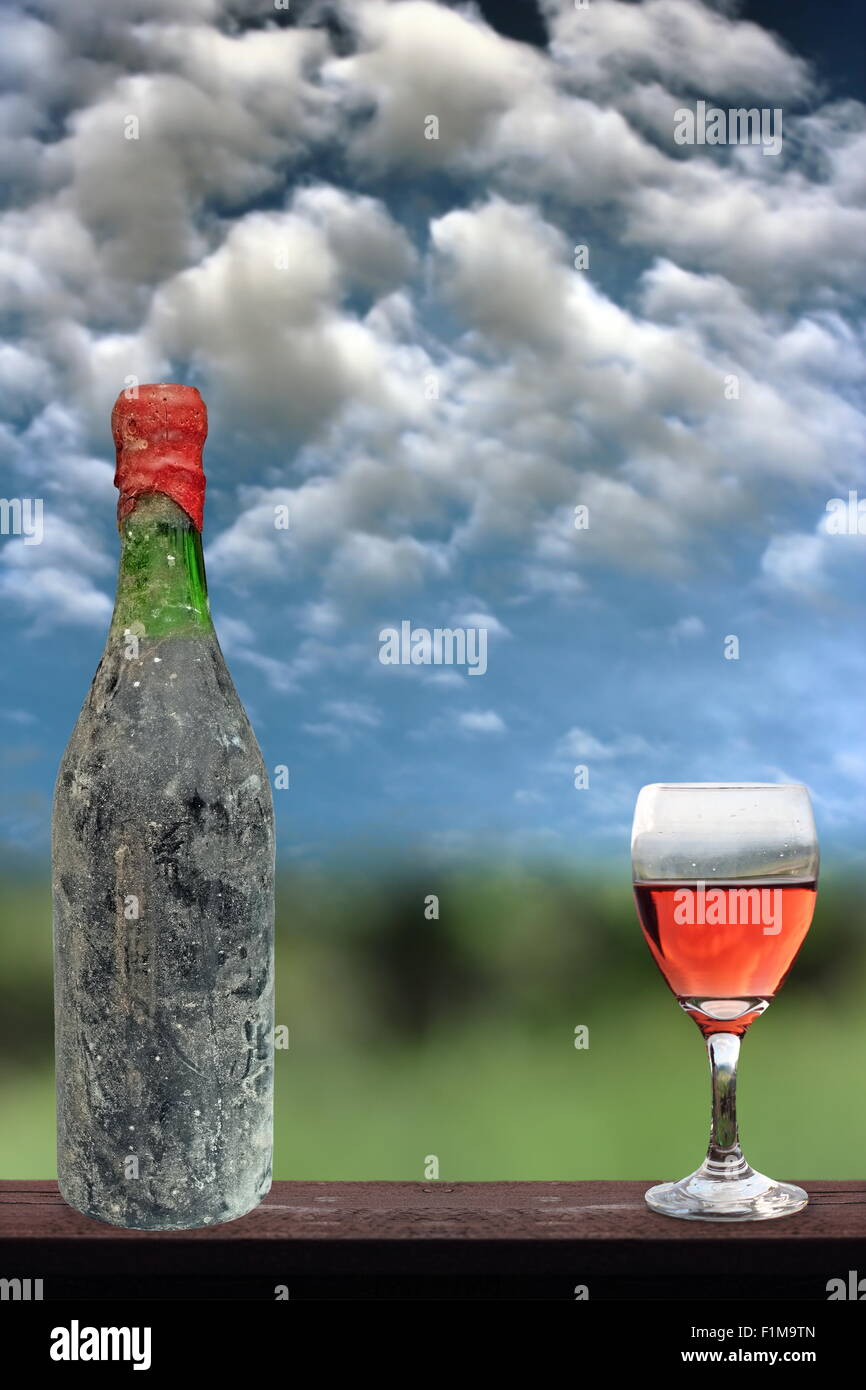 Alte Rebe-Flasche und Glas anzeigen inmitten der Natur Stockfoto