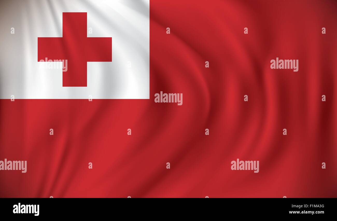 Flagge der Tonga - Vektor-illustration Stock Vektor