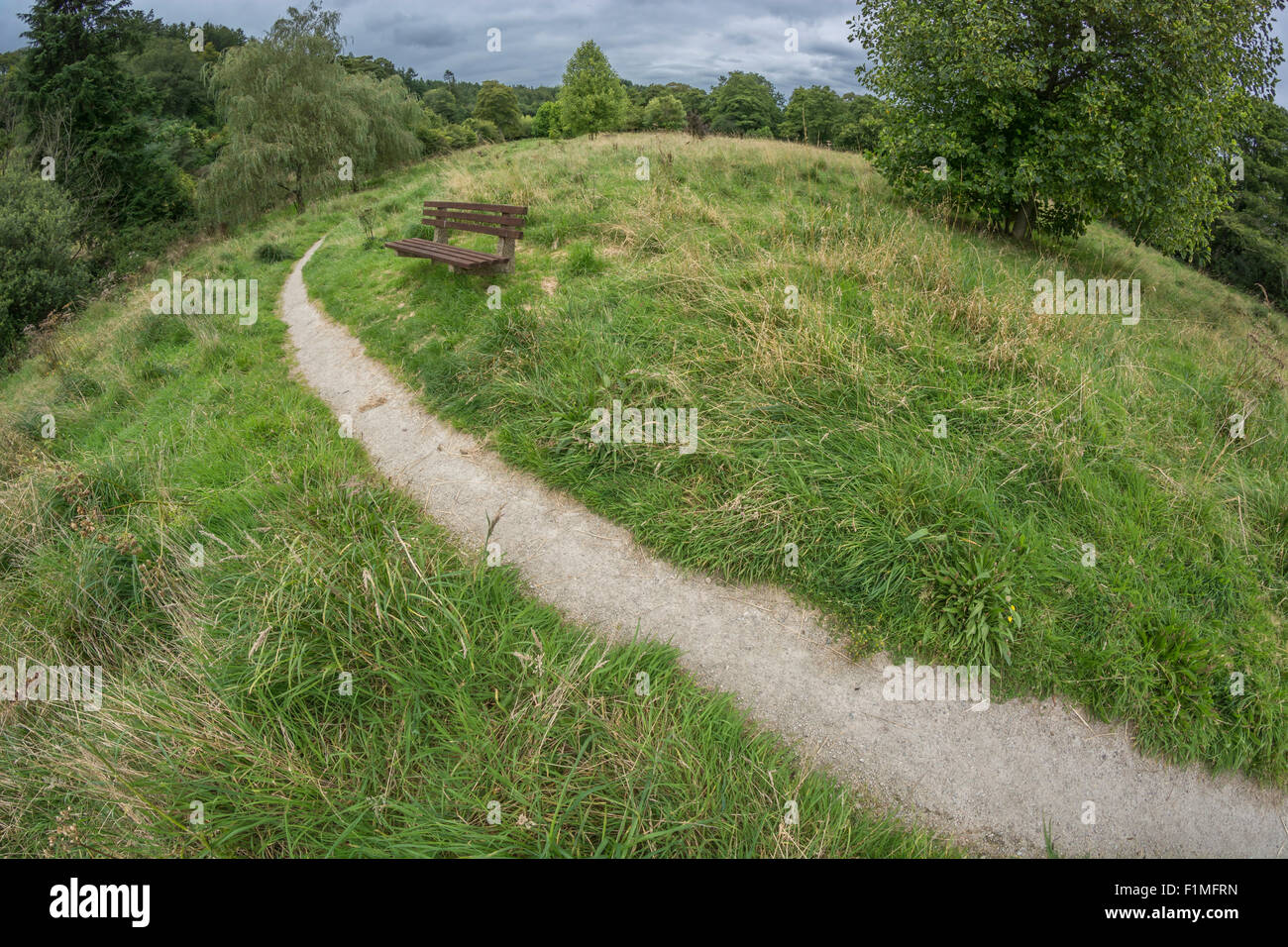 Fisheye Landschaft - Stadtpark Lostwithiel. Bleiben Sie auf dem richtigen Weg Metapher, Covid Park Bank Wiedervereinigungen. Stockfoto