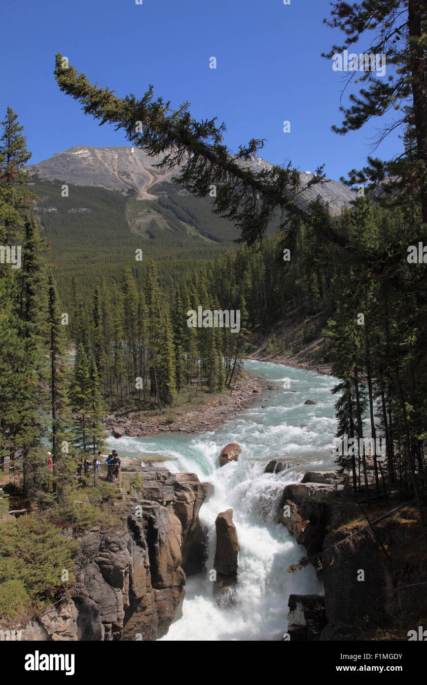 Kanada, Alberta, Jasper Nationalpark, Sunwapta River Falls Stockfoto