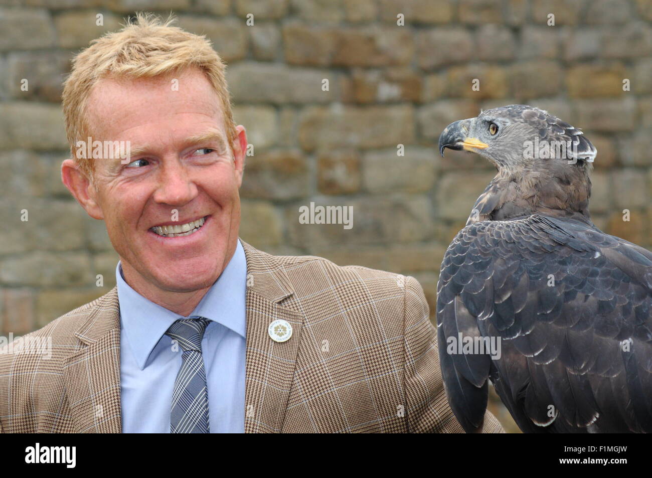 Peak District, Derbyshire, UK. 4. September 2015. Landwirt und BBC Countryfile Moderator, Adam Henson mit "Jura" eine Krone Hawk Eagle bei der Vorstellung des jährlichen Country Fair im Chatsworth House. Die Messe statt, auf dem Gelände des Herzogs und der Herzogin von Devonshire Peak District nach Hause, läuft ca. 4-6 September 2015. Bildnachweis: Matthew Taylor/Alamy Live-Nachrichten Stockfoto