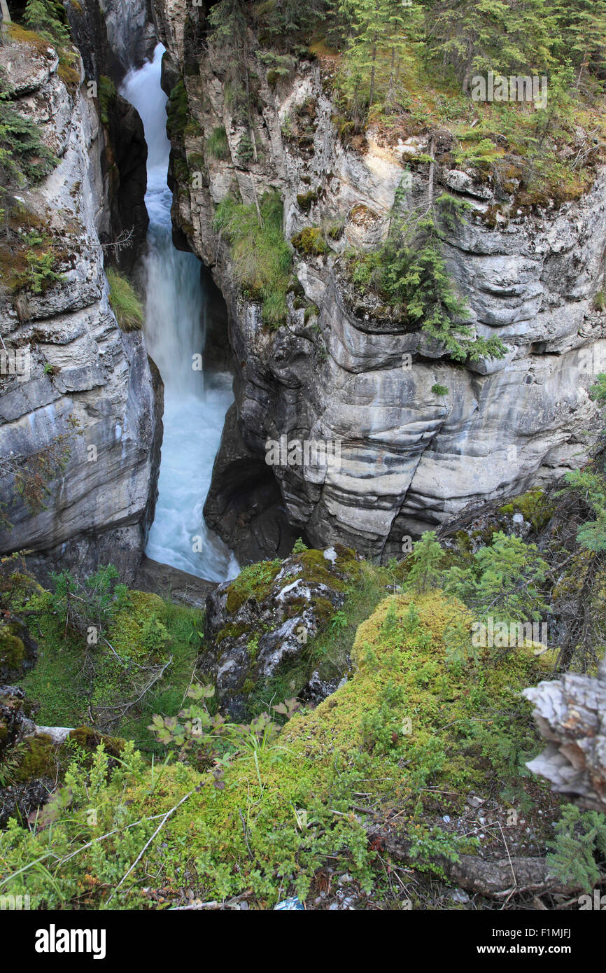 Kanada, Alberta, Jasper Nationalpark, Maligne Canyon, Stockfoto