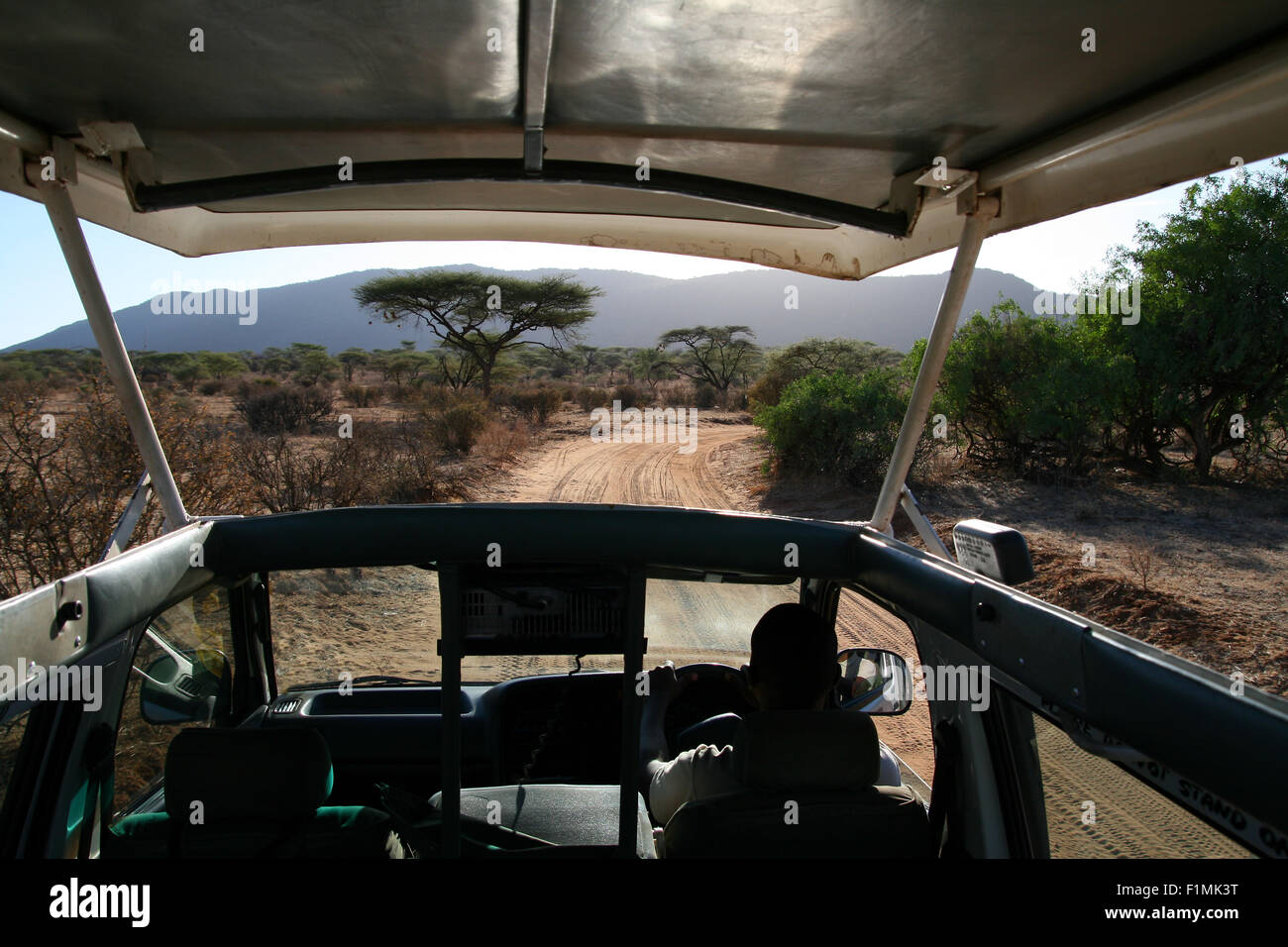 Fahren in einer Safari-tour Stockfoto