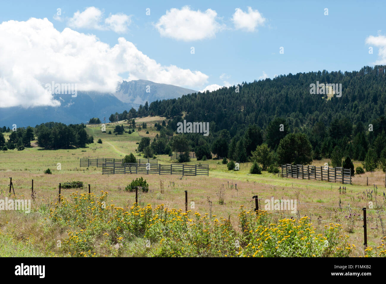 Typische Landschaft in der Nähe von Coll De La Quillana auf dem Capçir Plateau der Pyrenäen, Südfrankreich Stockfoto