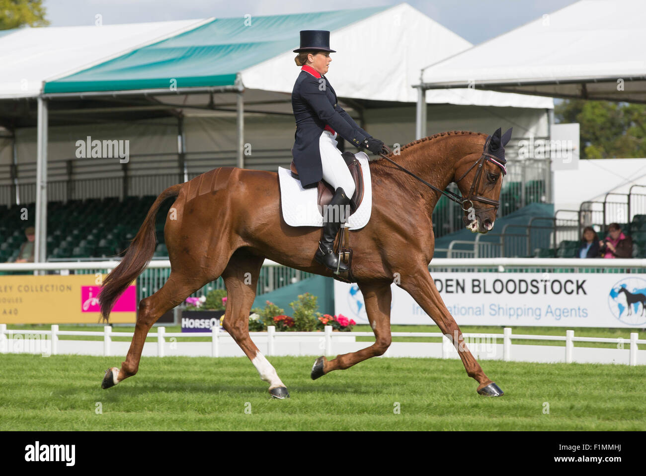 Stamford, UK. 02. Sep 2015. Der Land Rover Burghley Horse Trials 2015 Pippa Funnellon neu Credit: Tim Scrivener/Alamy Live-Nachrichten Stockfoto