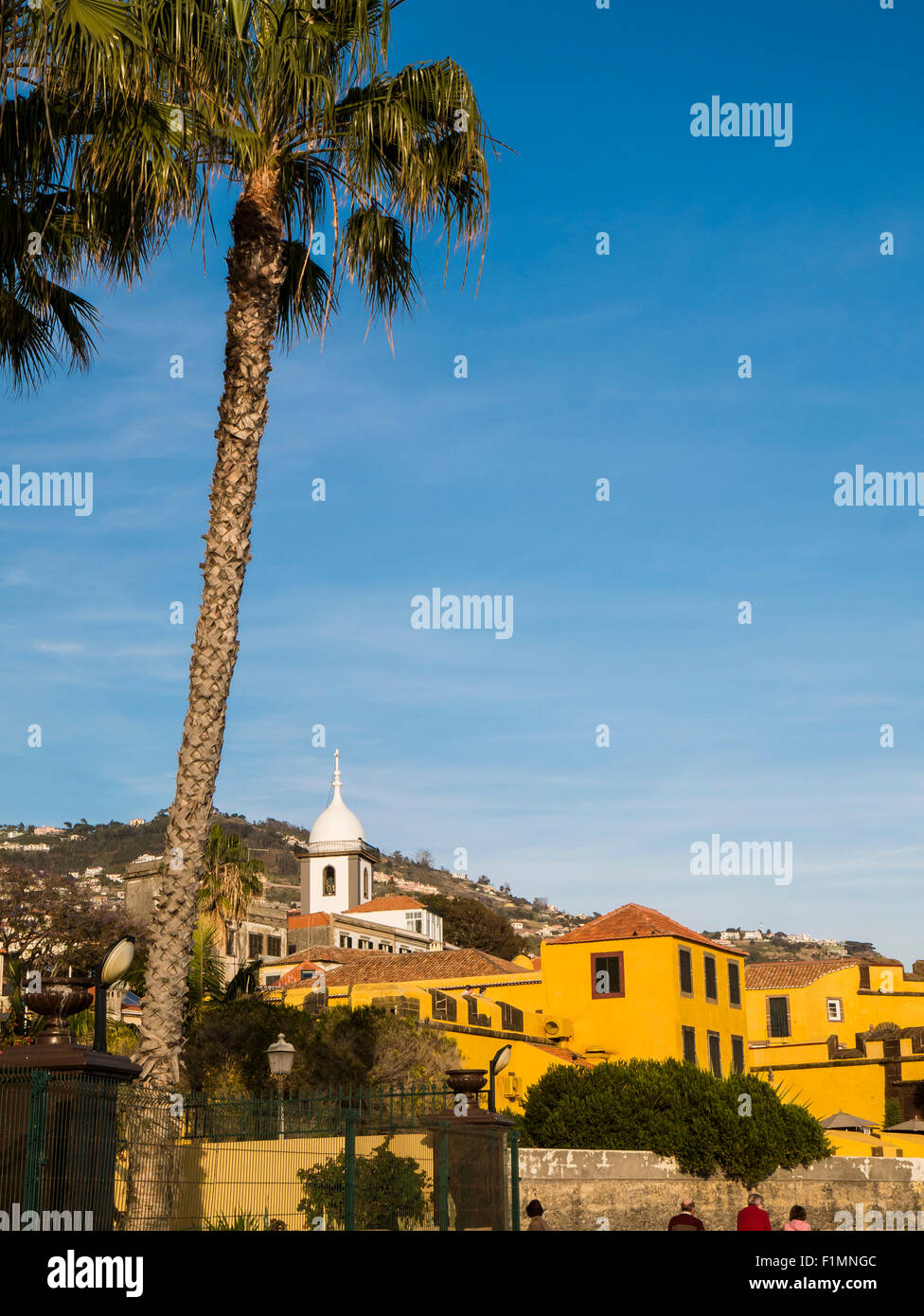 Altstadt, Funchal, Madeira, Portugal Stockfoto